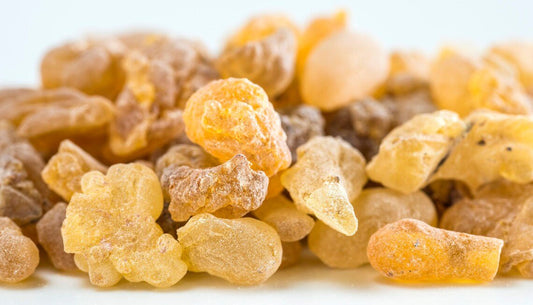 Frankincense Essential Oil - Luna Wolf